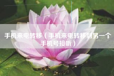 手机来电转移（手机来电转移到另一个手机号接听）