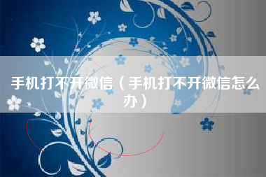 手机打不开微信（手机打不开微信怎么办）
