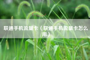 联通手机流量卡（联通手机流量卡怎么用）