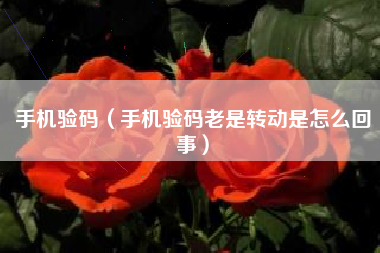 手机验码（手机验码老是转动是怎么回事）