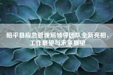 昭平县应急管理局领导团队全新亮相，工作展望与未来展望