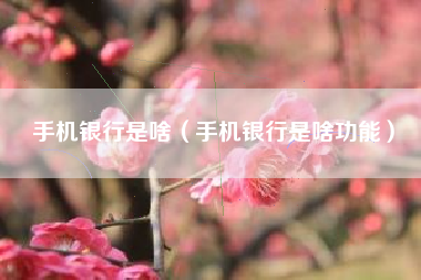 手机银行是啥（手机银行是啥功能）
