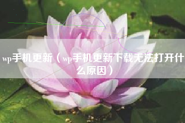 wp手机更新（wp手机更新下载无法打开什么原因）