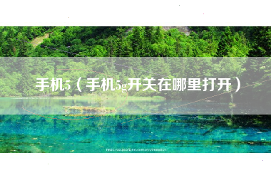手机5（手机5g开关在哪里打开）