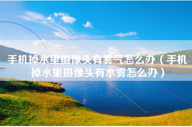 手机掉水里摄像头有雾气怎么办（手机掉水里摄像头有水雾怎么办）