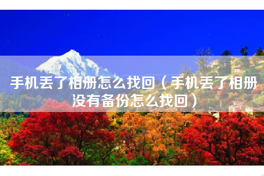 手机丢了相册怎么找回（手机丢了相册没有备份怎么找回）