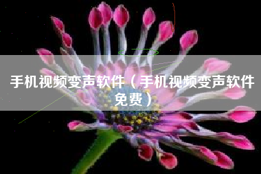 手机视频变声软件（手机视频变声软件免费）