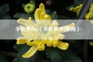 手机多少g（手机多少g够用）