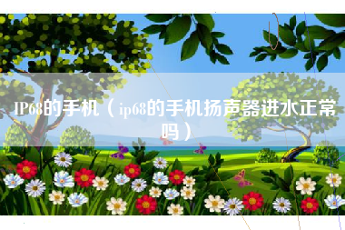 IP68的手机（ip68的手机扬声器进水正常吗）