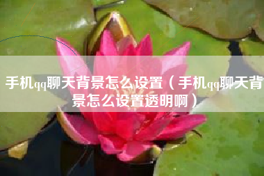 手机qq聊天背景怎么设置（手机qq聊天背景怎么设置透明啊）