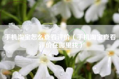 手机淘宝怎么查看评价（手机淘宝查看评价在哪里找）