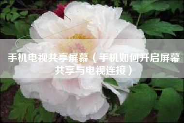 手机电视共享屏幕（手机如何开启屏幕共享与电视连接）