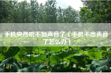 手机突然听不到声音了（手机不出声音了怎么办）