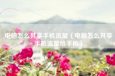 电脑怎么共享手机流量（电脑怎么共享手机流量给手机）