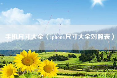 手机尺寸大全（iphone尺寸大全对照表）