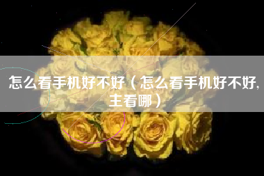 怎么看手机好不好（怎么看手机好不好,主看哪）