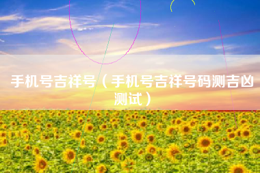 手机号吉祥号（手机号吉祥号码测吉凶测试）
