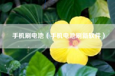 手机刷电池（手机电池刷新软件）