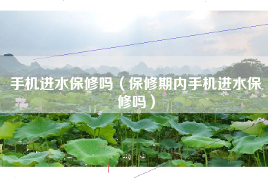 手机进水保修吗（保修期内手机进水保修吗）