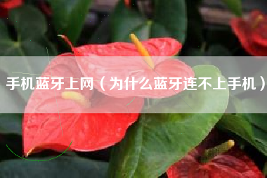 手机蓝牙上网（为什么蓝牙连不上手机）