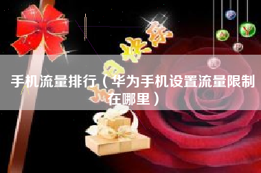 手机流量排行（华为手机设置流量限制在哪里）
