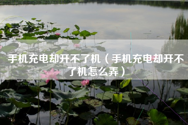 手机充电却开不了机（手机充电却开不了机怎么弄）