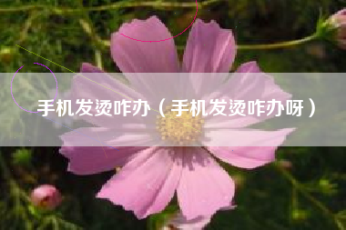 手机发烫咋办（手机发烫咋办呀）