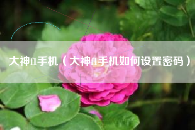 大神f1手机（大神f1手机如何设置密码）