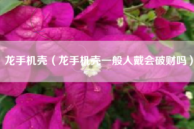 龙手机壳（龙手机壳一般人戴会破财吗）