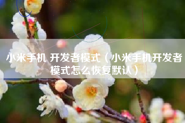 小米手机 开发者模式（小米手机开发者模式怎么恢复默认）
