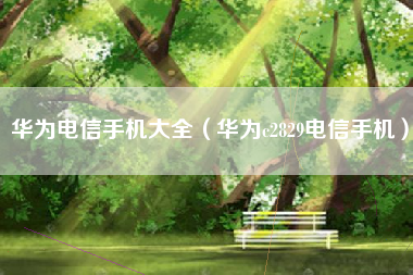 华为电信手机大全（华为c2829电信手机）