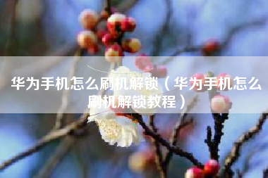 华为手机怎么刷机解锁（华为手机怎么刷机解锁教程）