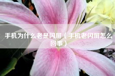 手机为什么老是闪屏（手机老闪屏怎么回事）