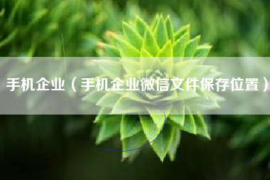手机企业（手机企业微信文件保存位置）