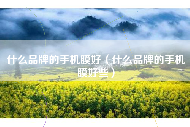 什么品牌的手机膜好（什么品牌的手机膜好些）