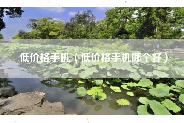低价格手机（低价格手机哪个好）