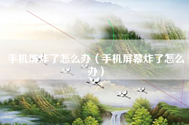 手机屏炸了怎么办（手机屏幕炸了怎么办）