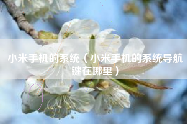 小米手机的系统（小米手机的系统导航键在哪里）