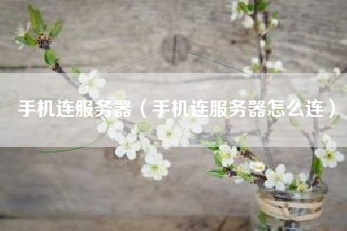 手机连服务器（手机连服务器怎么连）
