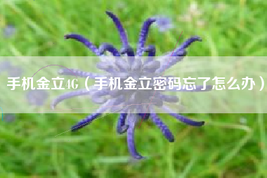 手机金立4G（手机金立密码忘了怎么办）