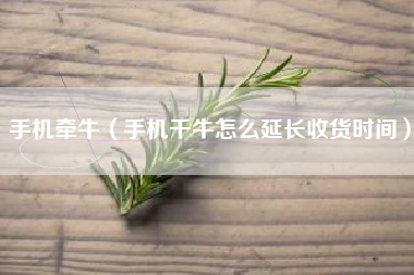 手机牵牛（手机千牛怎么延长收货时间）