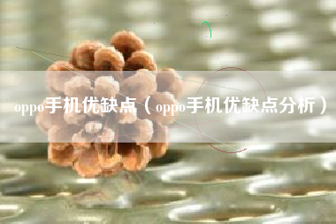 oppo手机优缺点（oppo手机优缺点分析）