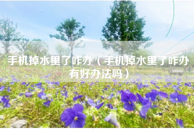 手机掉水里了咋办（手机掉水里了咋办有好办法吗）