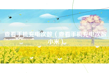 查看手机充电次数（查看手机充电次数小米）