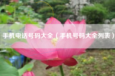 手机电话号码大全（手机号码大全列表）