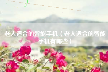 老人适合的智能手机（老人适合的智能手机有哪些）