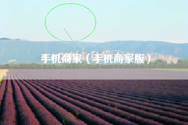 手机商家（手机商家版）