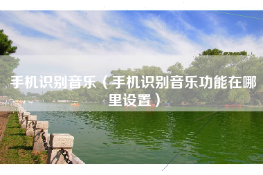 手机识别音乐（手机识别音乐功能在哪里设置）
