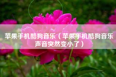 苹果手机酷狗音乐（苹果手机酷狗音乐声音突然变小了）