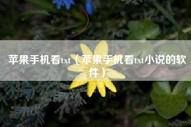 苹果手机看txt（苹果手机看txt小说的软件）